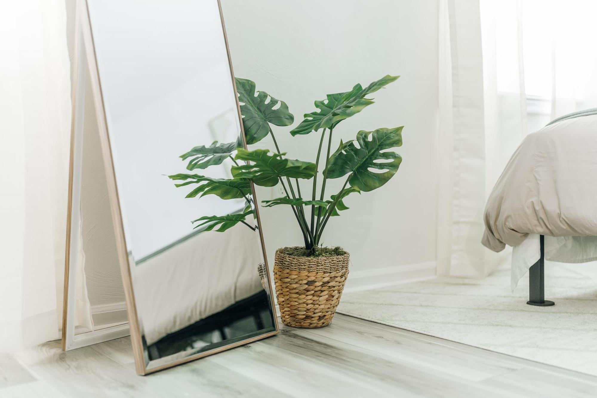 Tranquil Luxury: Modern Comfort! リンチバーグ エクステリア 写真